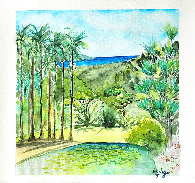 Aquarelle de la vue des jardins de Balata en Martinique