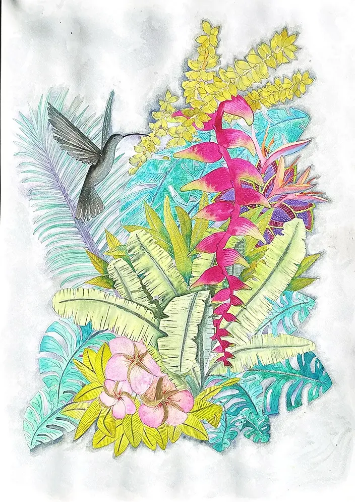 Le colibri gourmand, aquarelle, aquarelle irisée et encre noire de Stéphanie Callari