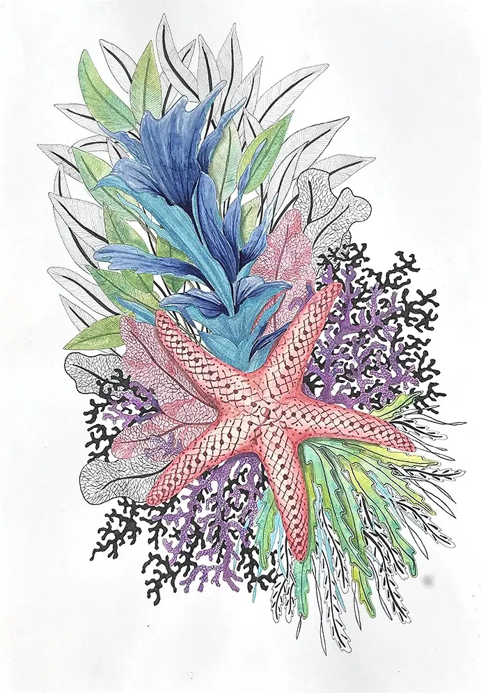 L’étoile de mer rêveuse, aquarelle, aquarelle irisée et encre noire de Stéphanie Callari