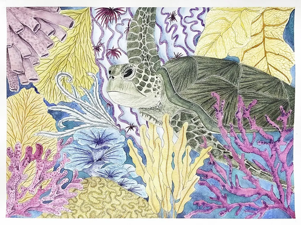 La tortue qui planait dans les coraux, aquarelle, aquarelle irisée et encre noire de Stéphanie Callari